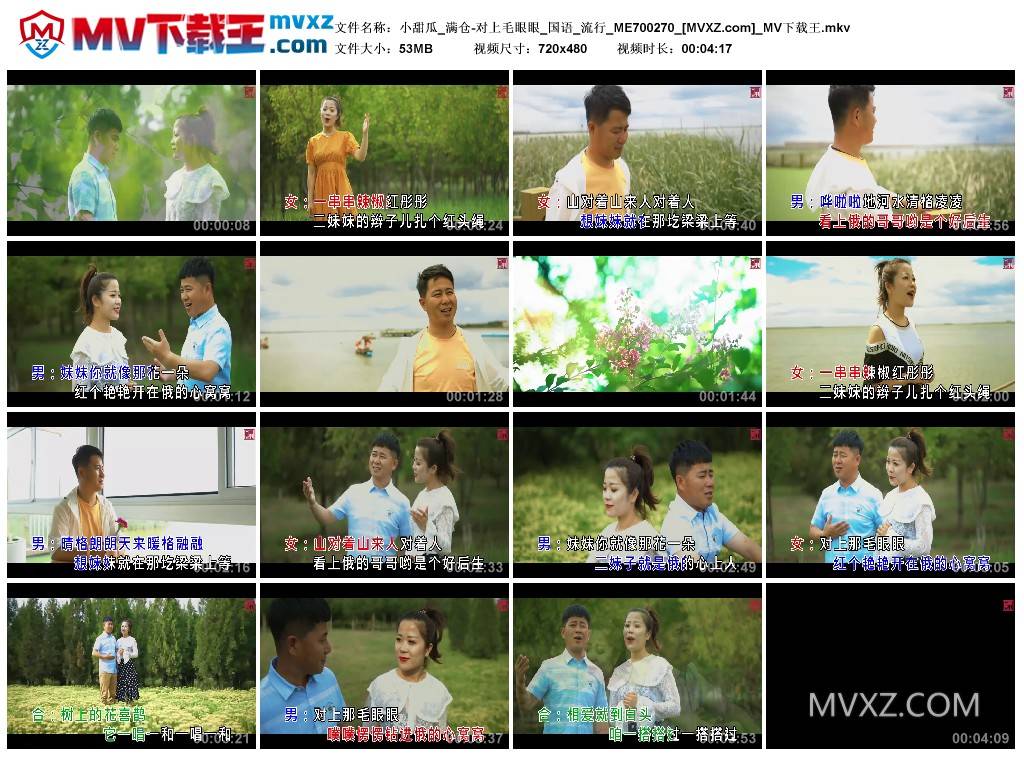 小甜瓜_满仓-对上毛眼眼_国语_流行_ME700270